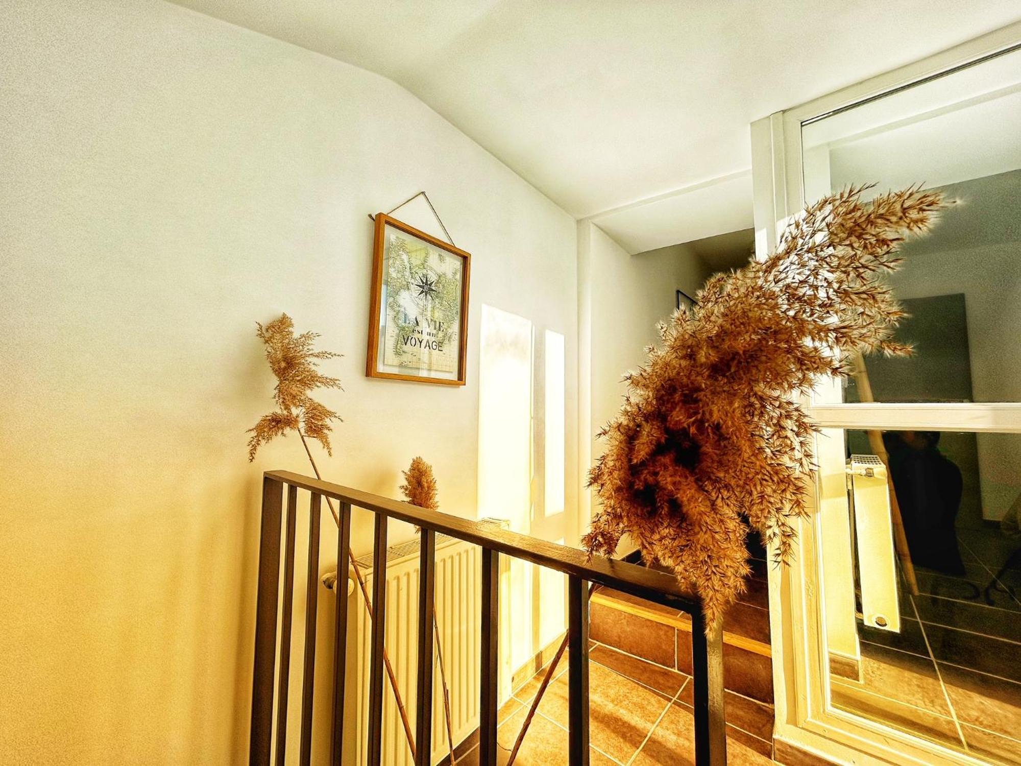 Olive Serenity Arles Ngoại thất bức ảnh
